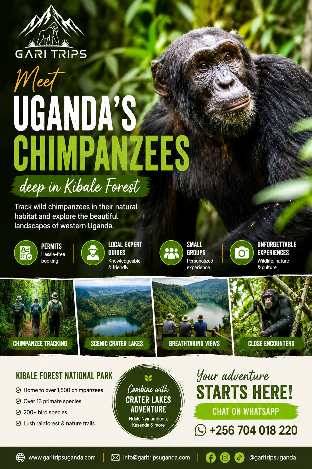 Chimpanzee Tracking