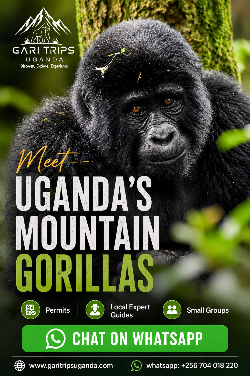 Gorilla Trekking Safari