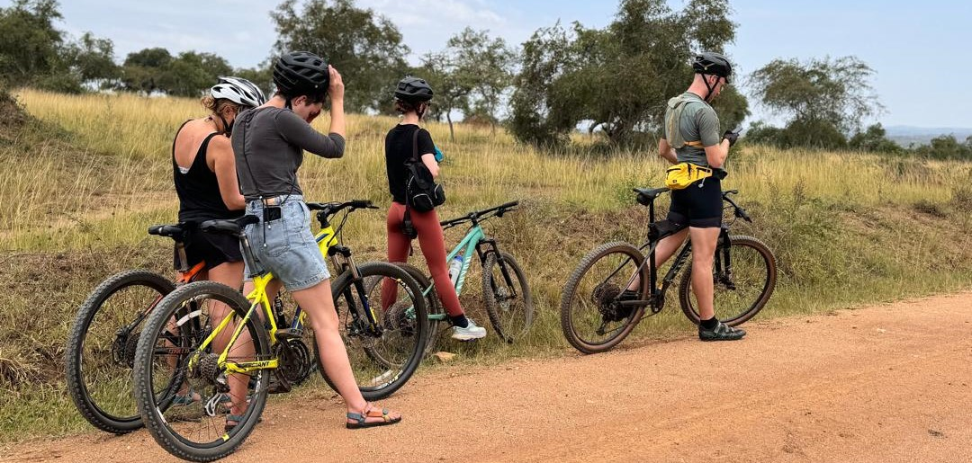 Bike Safari