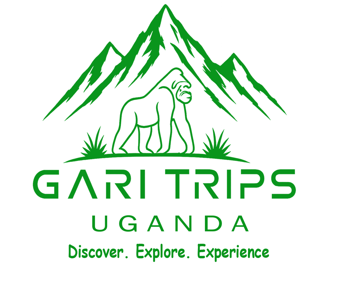 Footer Logo