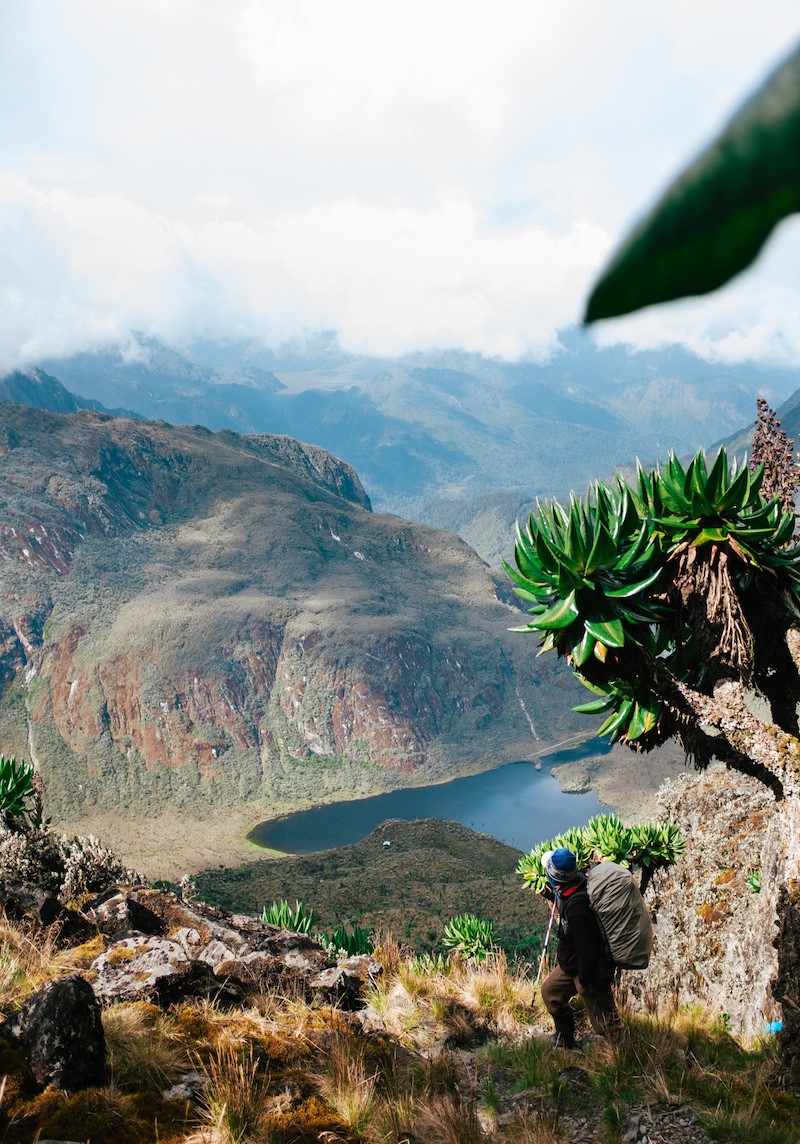 Mount Rwenzori