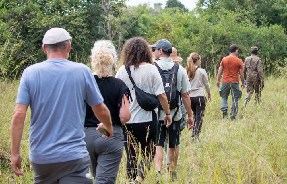Safari adventure